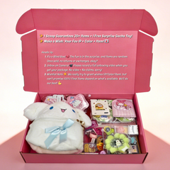 Kawaii Stationery Mystery Box
